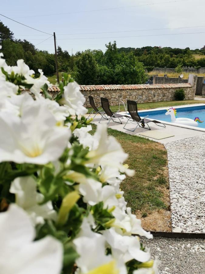 Villa Accordia Labin  Kültér fotó