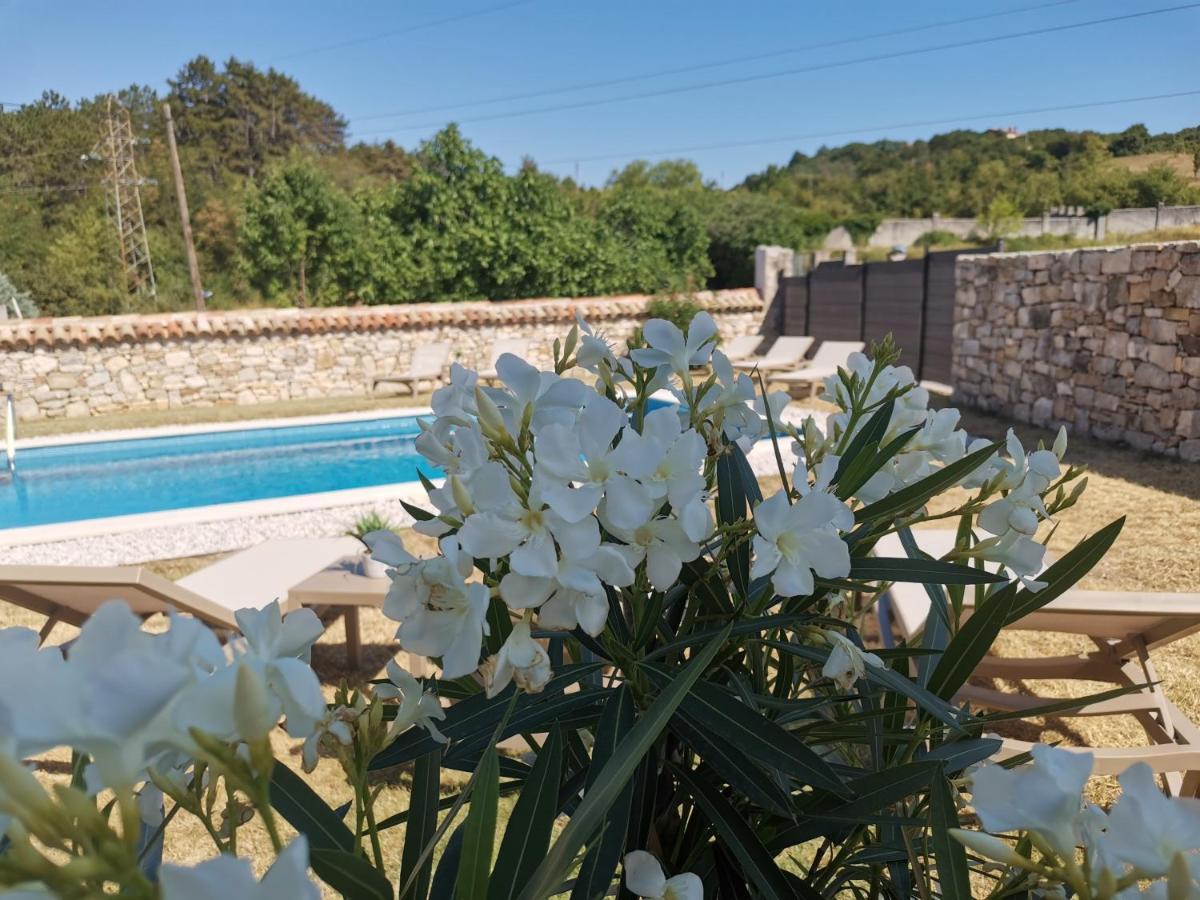 Villa Accordia Labin  Kültér fotó